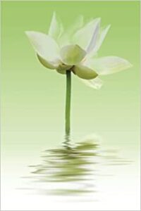 Lotus reflections journal