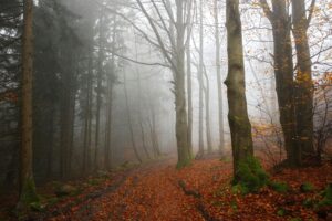 Anxiety treatments
