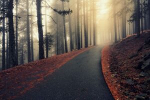 nature as anxiety treatment