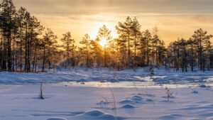 winter morning light healing