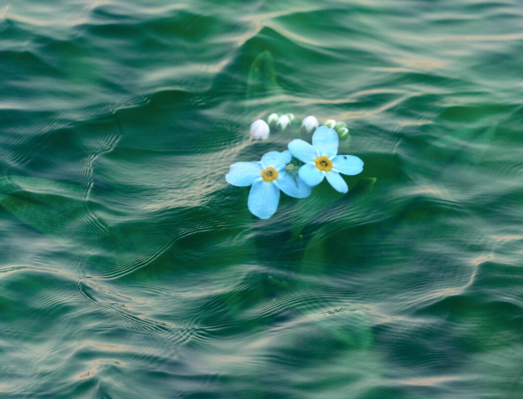 dealing with grief and loss