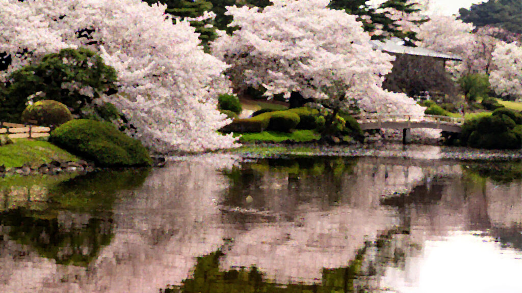 immersive wellness at The Lotus Center in Millcreek and Salt Lake City