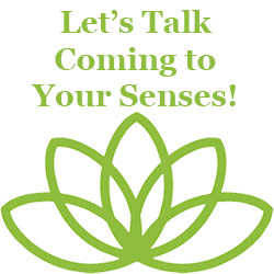 Lets talk coming to your senses for mindfulness practice